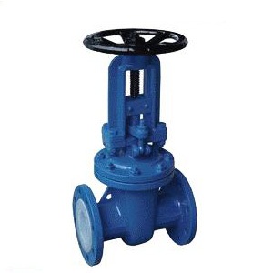 Fluorine gate valve