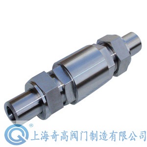 Compressed natural gas high pressure check valve